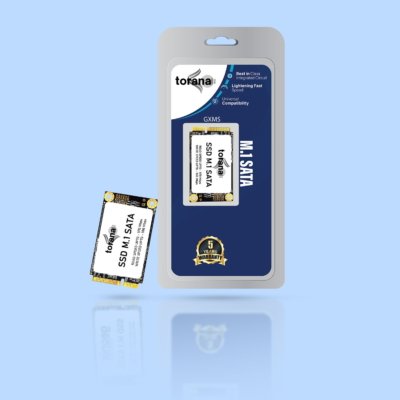 256GB Supersonic M 1 SATA SSD